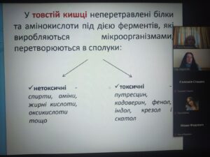 Показове заняття викладача Гопаненко