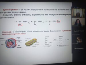 Показове заняття викладача Гопаненко