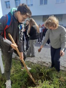 Троянди для Воїнів