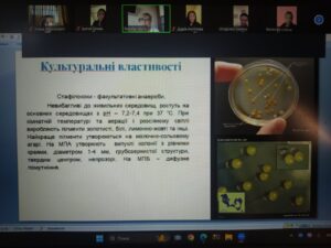 Патогенні коки