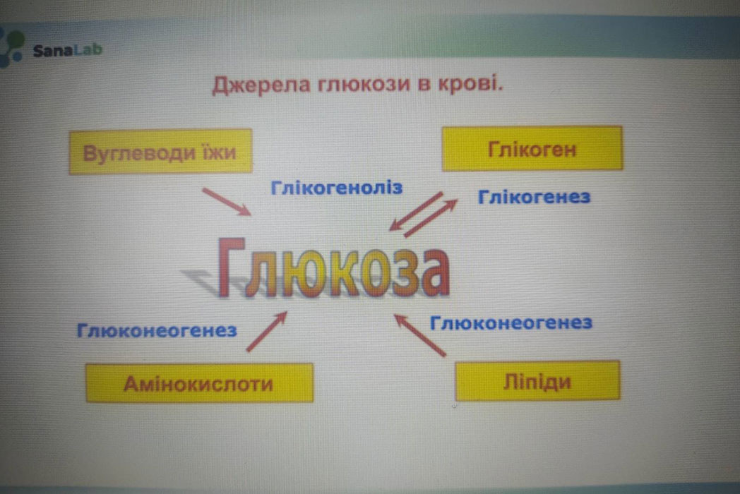 Детальніше про статтю Участь у лекції на тему: “Глюкоза та метаболіти вуглеводного обміну”