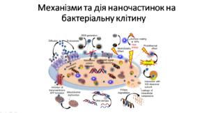 Нанотехнології у медичній мікробіології