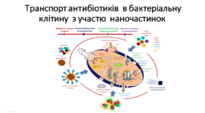 Нанотехнології у медичній мікробіології