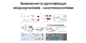 Нанотехнології у медичній мікробіології