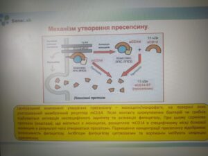 Біомаркери сепсису в практичній медицині