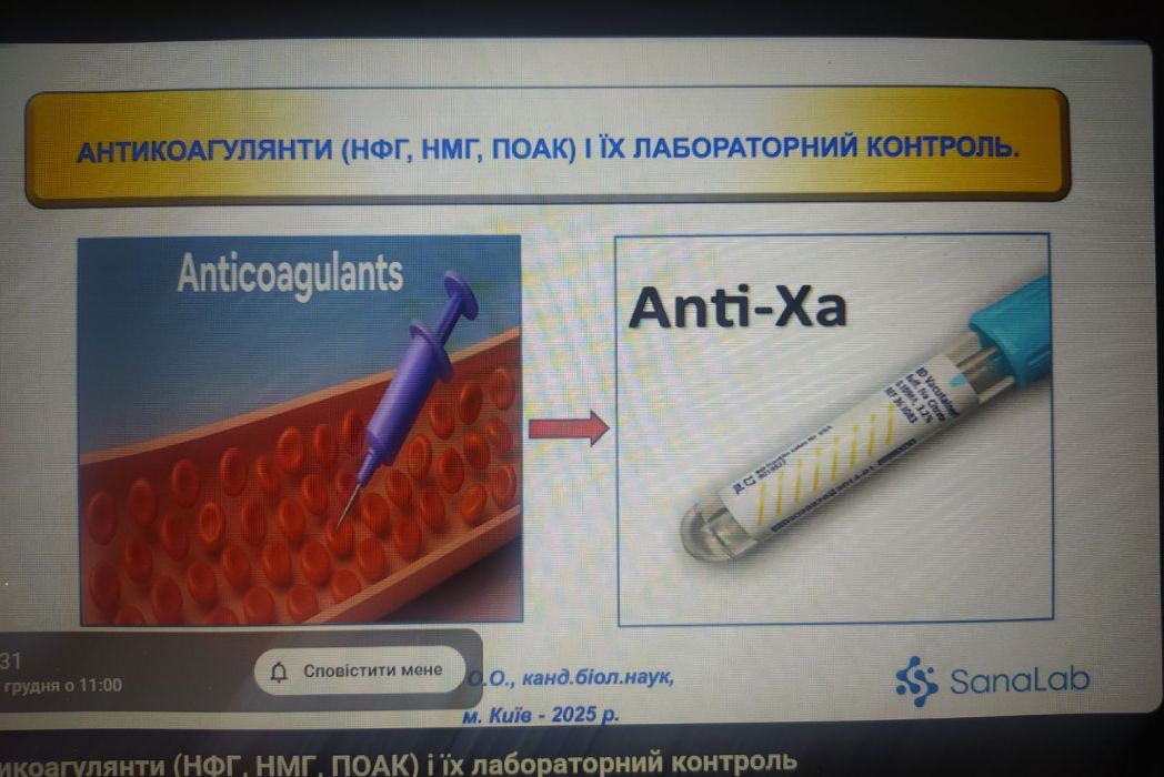 Детальніше про статтю Участь у лекції викладачів кафедри 12 грудня